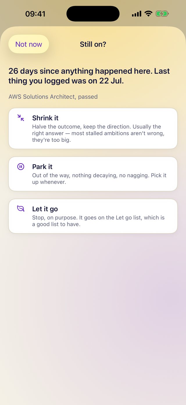 Focus offering to shrink, park or let go of a stalled ambition